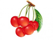 buah-cherry-percepat-pemulihan-fisik-atlet